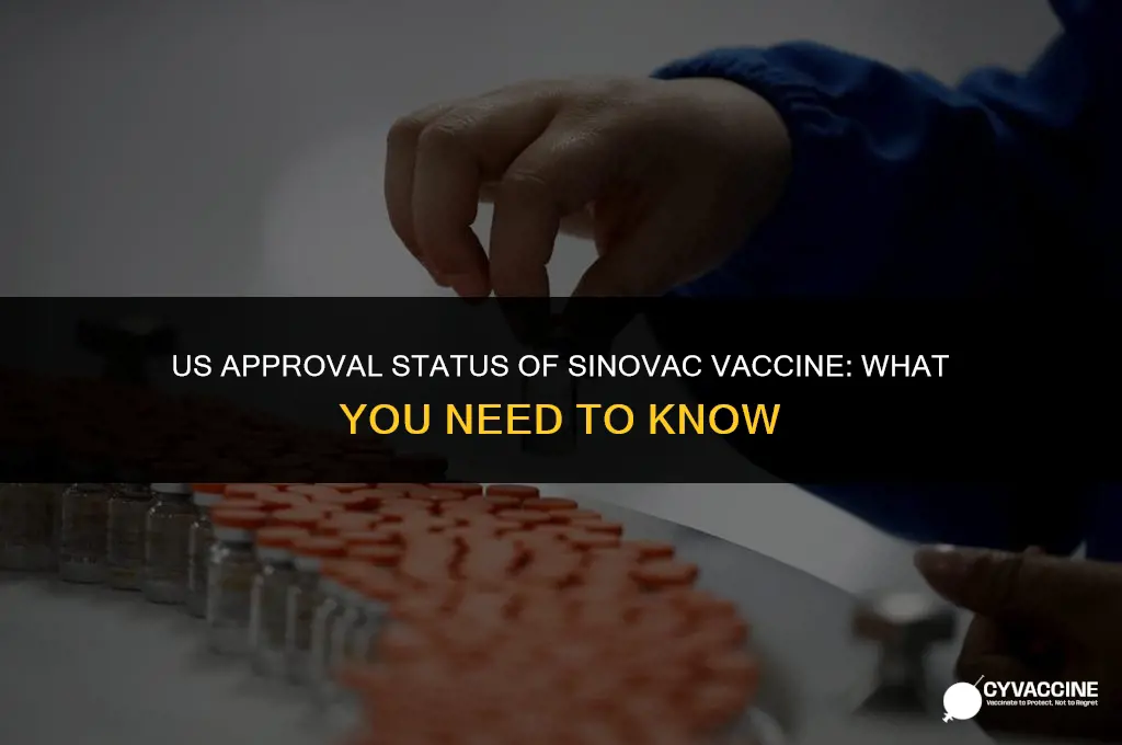 is sinovac vaccine allowed in us