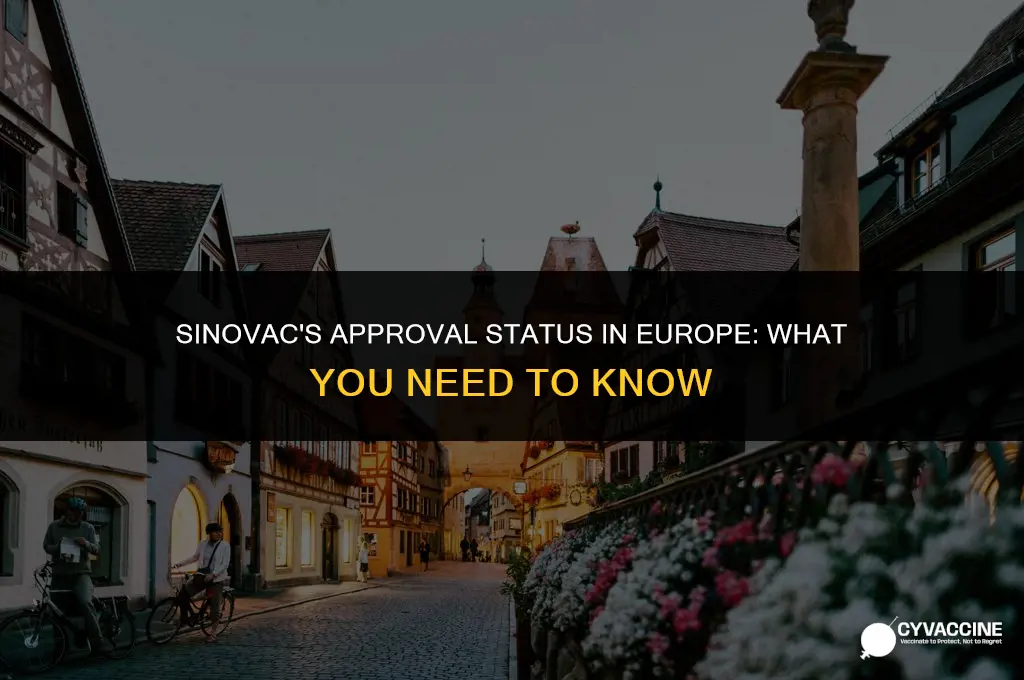 is sinovac vaccine approved in europe