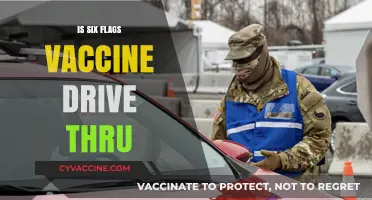 Six Flags Vaccine Drive-Thru: Convenient Immunization Experience