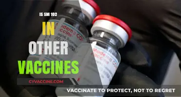 Exploring the Presence of SM-102 in Various Vaccines