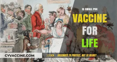 Lifelong Immunity: The Truth About Smallpox Vaccination