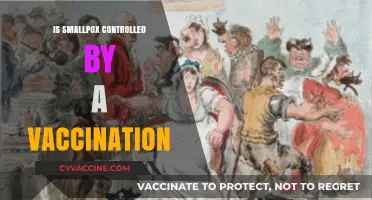 Conquering Smallpox: The Power of Vaccination Revealed