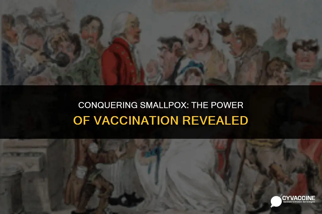 is smallpox controlled by a vaccination