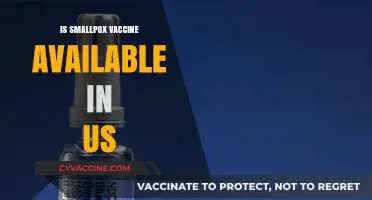 Exploring Smallpox Vaccine Availability in the United States Today