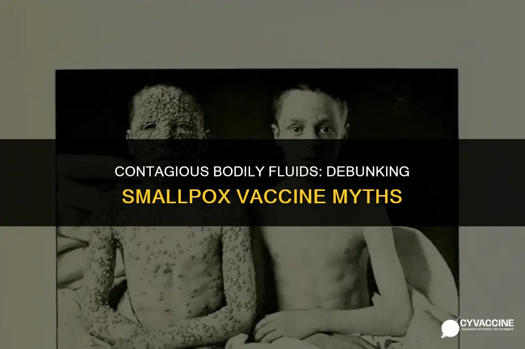 is smallpox vaccine contagious bodily fluids
