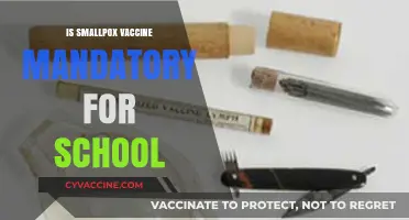 Smallpox Vaccine Mandate: What You Need to Know for School Enrollment