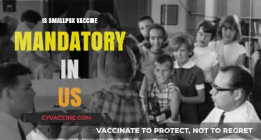 Smallpox Vaccine Mandate: A Historical Perspective on Public Health Policy