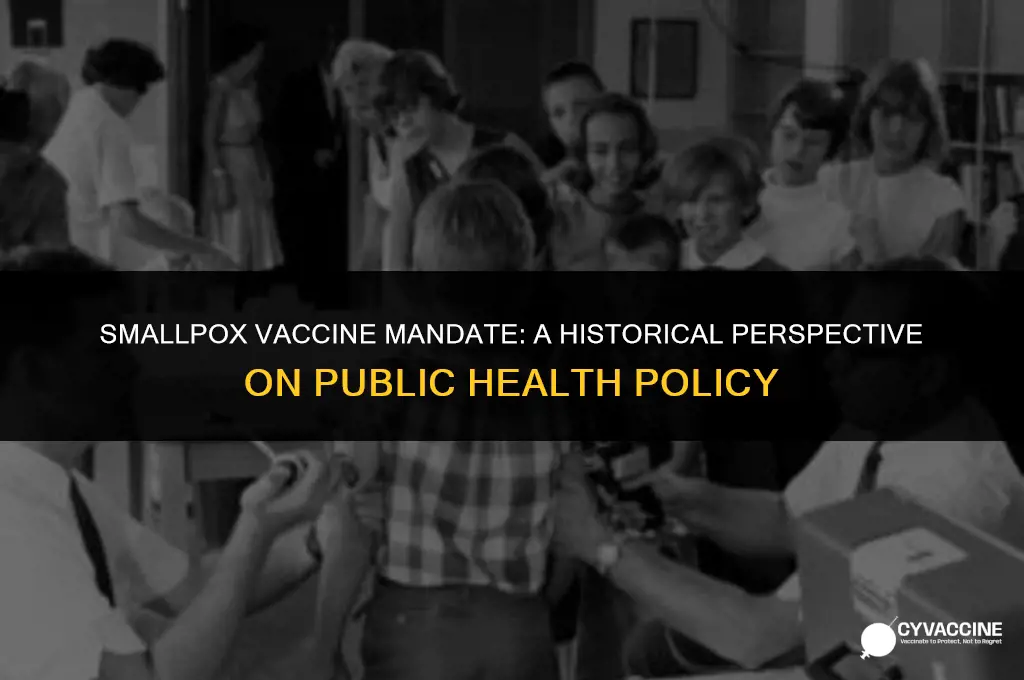 is smallpox vaccine mandatory in us