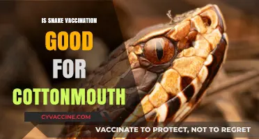 Protecting Against Cottonmouth Bites: The Benefits of Snake Vaccination