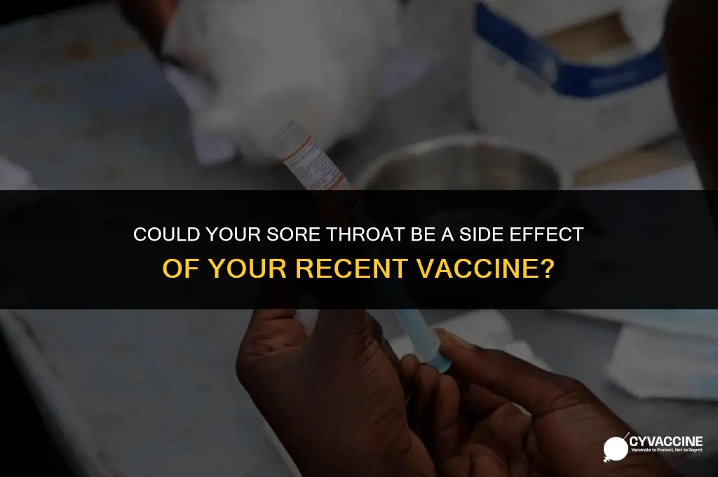 is sore throat a vaccine symptom