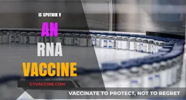Decoding Sputnik V: Understanding the Science Behind the Vaccine