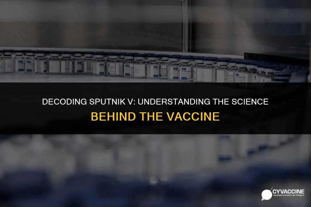 is sputnik v an rna vaccine