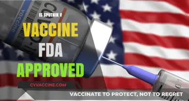 Sputnik V Vaccine: FDA Approval Status and Global Implications