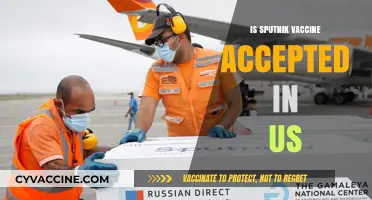 Sputnik Vaccine Acceptance in the US: A Comprehensive Overview