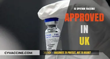 Sputnik Vaccine Approval in the UK: Current Status and Future Prospects
