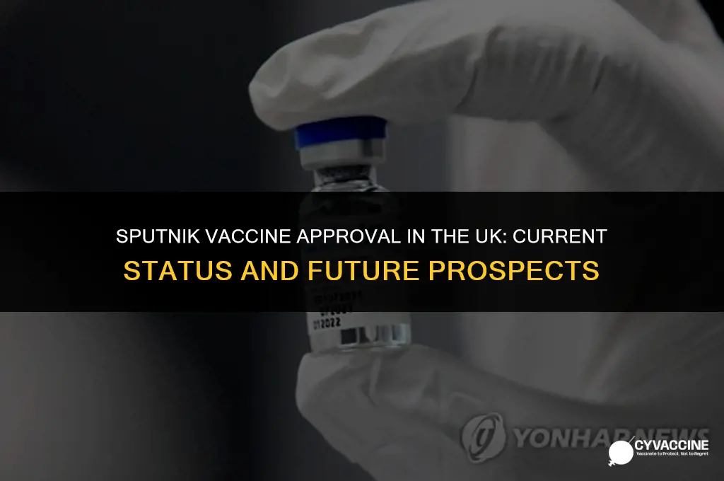 is sputnik vaccine approved in uk