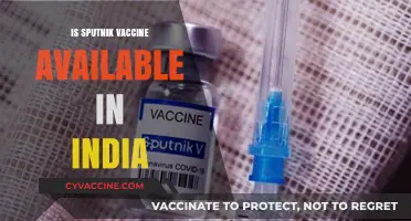 Sputnik Vaccine in India: Availability and Updates