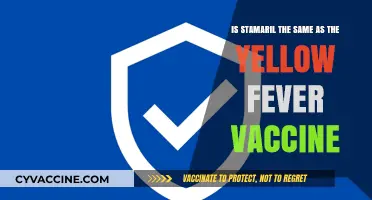 Stamaril vs. Yellow Fever Vaccine: Are They Interchangeable?