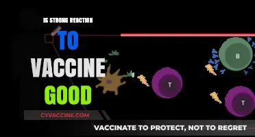 Exploring the Benefits of a Strong Immune Response to Vaccines