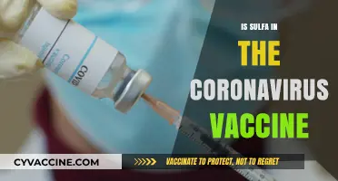 Unraveling the Facts: Sulfa in COVID-19 Vaccines