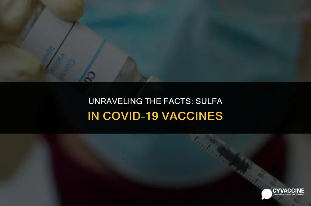 is sulfa in the coronavirus vaccine