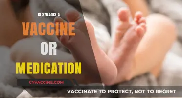 Understanding Synagis: Vaccine or Medication for RSV Prevention?