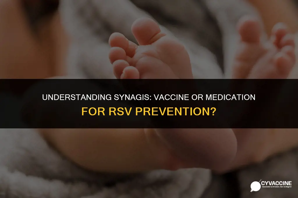 is synagis a vaccine or medication