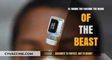 Vaccines and the Mark of the Beast: Separating Fact from Fiction