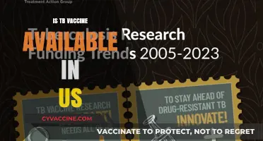 US TB Vaccine Availability: Facts, Myths, and Updates