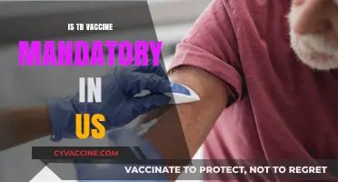 Understanding TB Vaccine Requirements in the United States