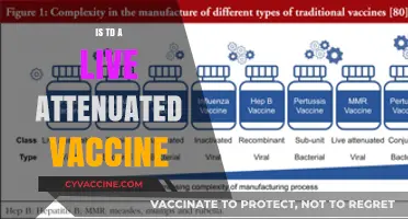 Understanding TD Vaccines: Live Attenuated or Not?