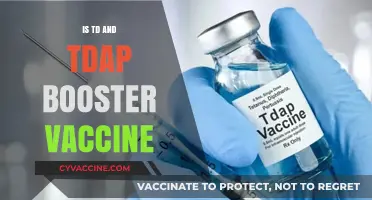 Understanding the Importance of Td and Tdap Booster Vaccines