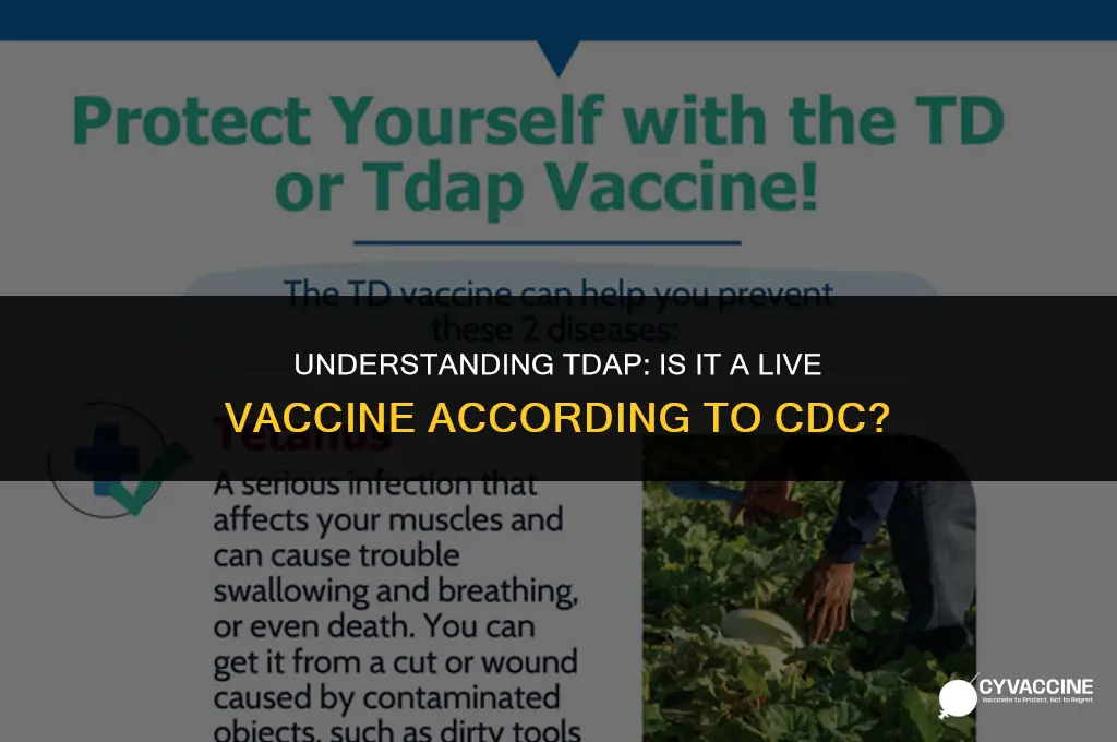 is tdap a live vaccine cdc