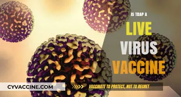 Is Tdap a Live Virus Vaccine? Understanding Its Composition and Safety