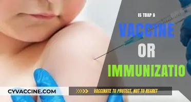 Understanding TDAP: Vaccine or Immunization?