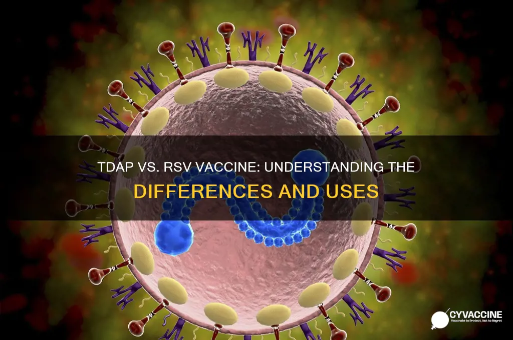 is tdap and rsv vaccine the same thing