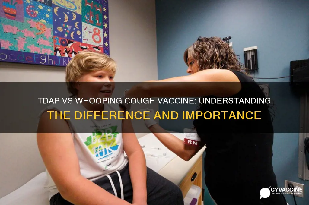 is tdap and whooping cough vaccine the same