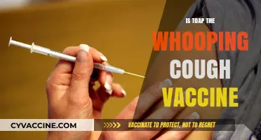 Is Tdap the Whooping Cough Vaccine? Understanding Pertussis Protection