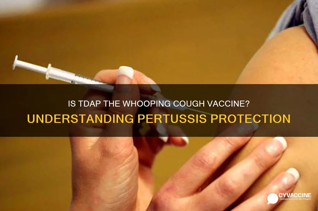 is tdap the whooping cough vaccine