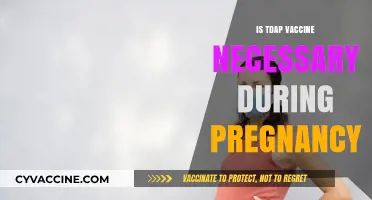 Is the Tdap Vaccine Necessary During Pregnancy? Expert Insights