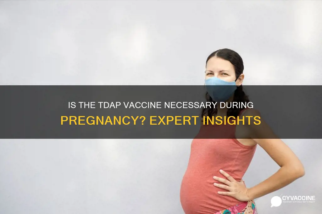 is tdap vaccine necessary during pregnancy