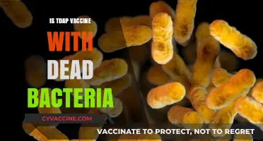 Understanding the TDAP Vaccine: Does It Contain Dead Bacteria?