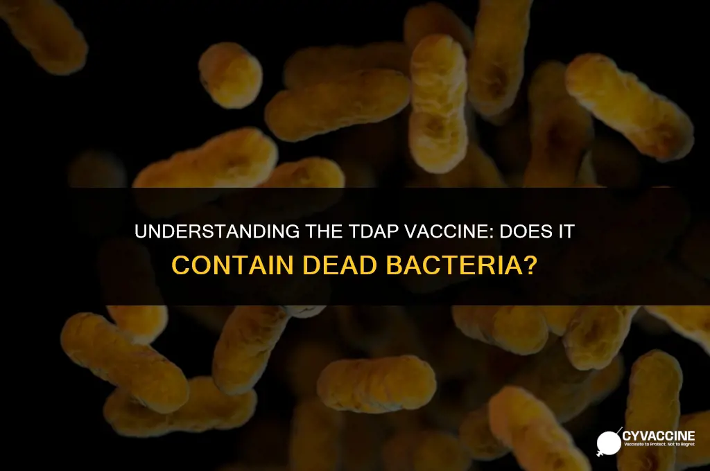 is tdap vaccine with dead bacteria
