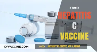 Exploring the Latest Advances in Hepatitis C Vaccination