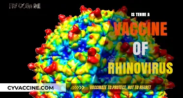 Exploring the Quest for a Rhinovirus Vaccine: Facts and Myths
