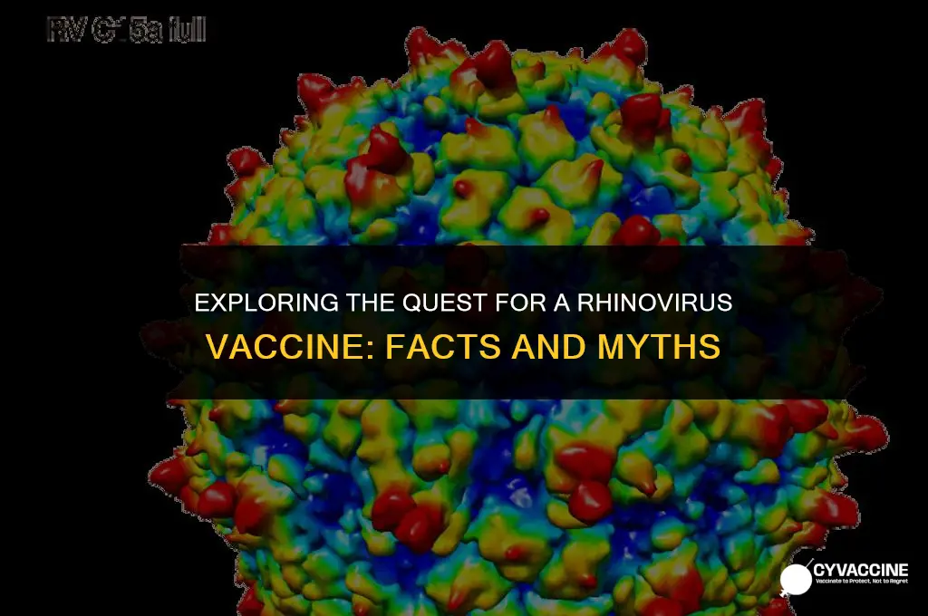 is tehre a vaccine of rhinovirus