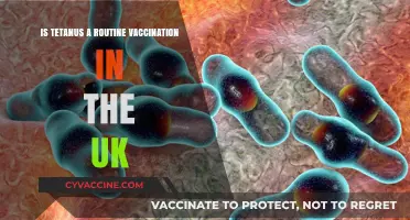 Is Tetanus Vaccination Routine in the UK? What You Need to Know