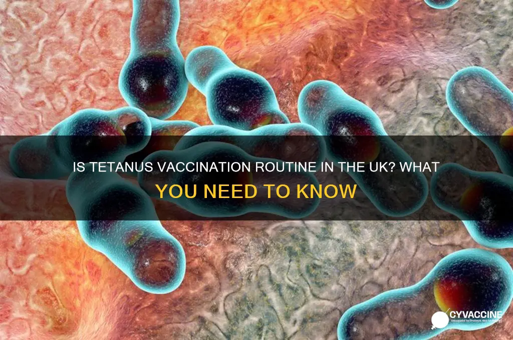is tetanus a routine vaccination in the uk