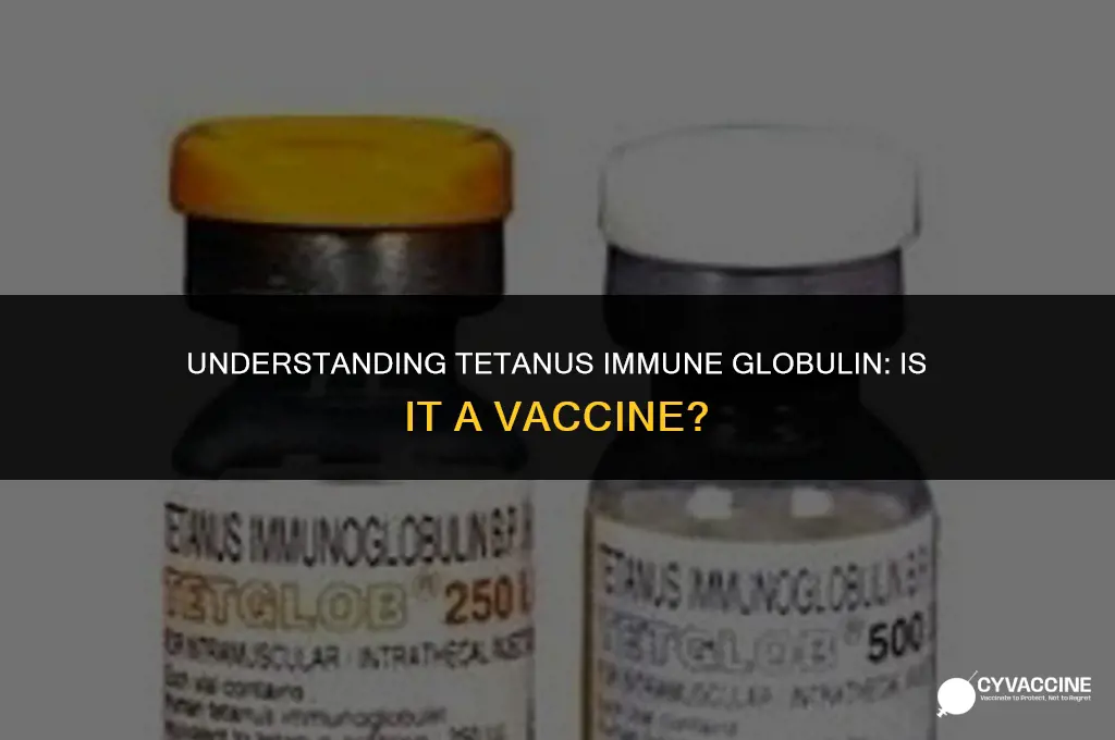 is tetanus immune globulin a vaccine