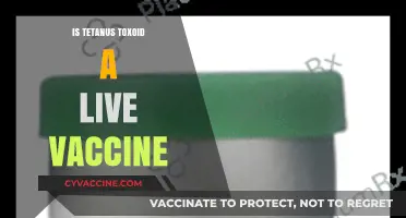 Understanding Tetanus Toxoid: Is It a Live Vaccine?